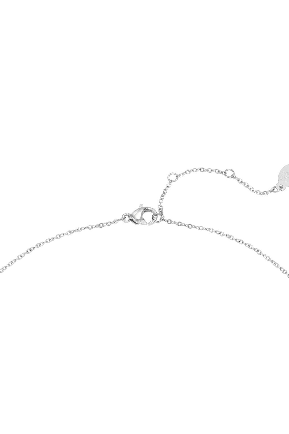 Ketting Universe Zilver Stainless Steel h5Afbeelding2